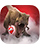 Player Icon